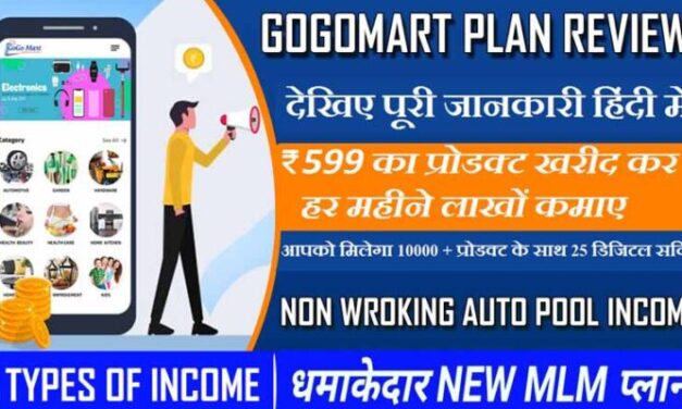 GoGoMart Plan Review | GoGoMart business Full Business Plan