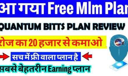 Quantum Bitts Plan Review | Quantum Bitts Full Business Plan