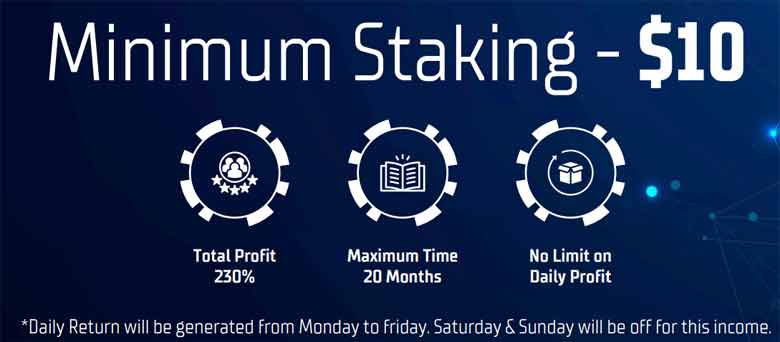 Staking and daily return