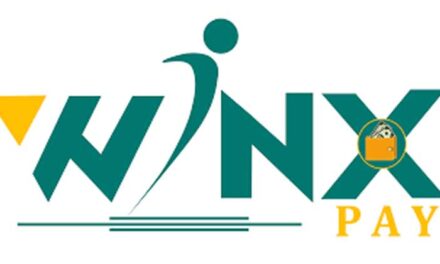 winxpay plan Review | winx pay Full Business Plan