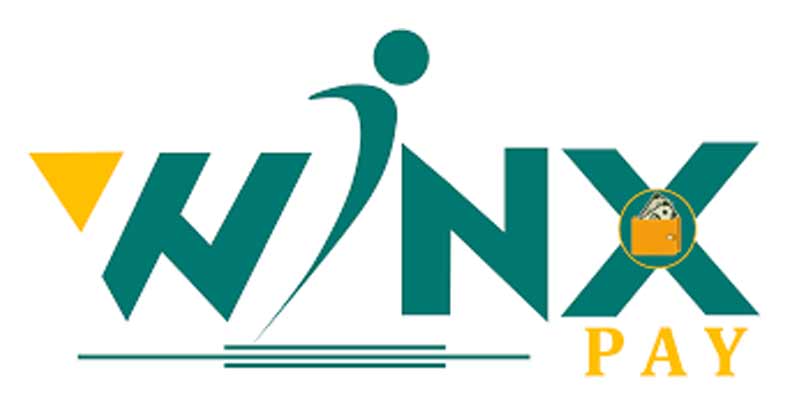 winxpay plan Review | winx pay Full Business Plan