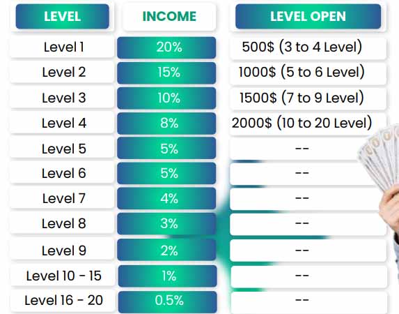 Daily Level Revenue 