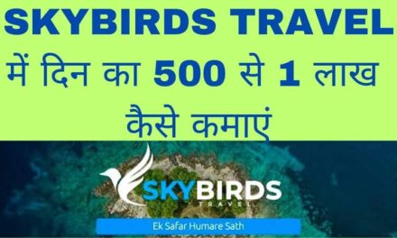 skybirds travel Plan Review | SkybirdsTravel Full Business Plan