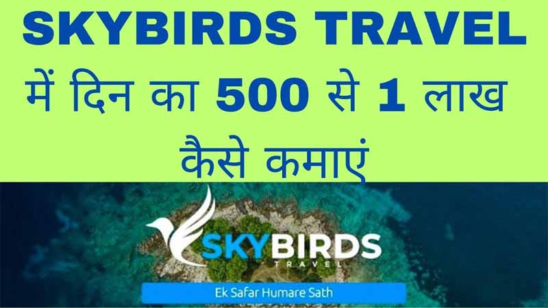 skybirds travel Plan Review | SkybirdsTravel Full Business Plan