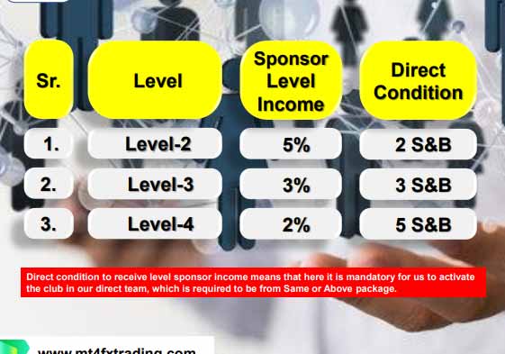 Level Sponsor Income