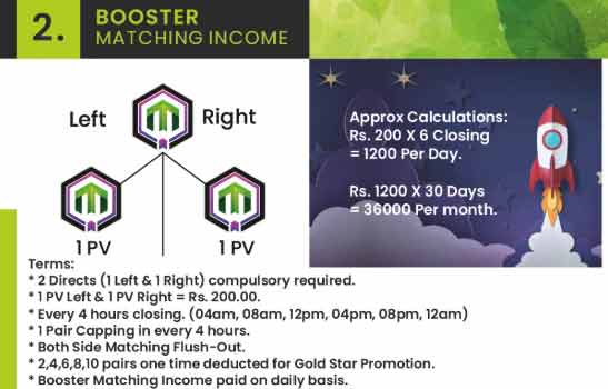 Booster Income