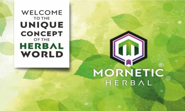 Mornetic Herbal Plan Review | Mornetic Herbal Full Business Plan