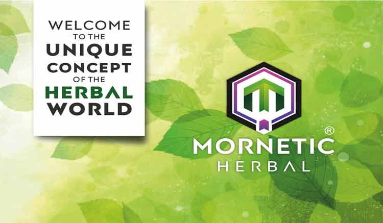 Mornetic Herbal Plan Review | Mornetic Herbal Full Business Plan