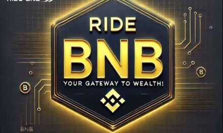 Ride BNB Plan Review | Ride BNB Full Business Plan