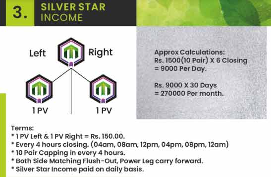 Silver Star Income