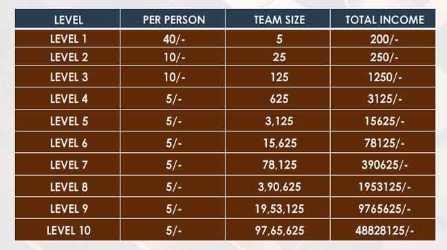 TEAM LEVEL INCOME