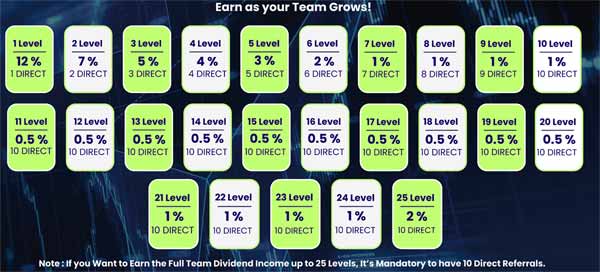 Team Dividend Income 