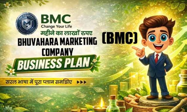 BMC Plan Review | Bhuvahara Marketing Company Full Business Plan