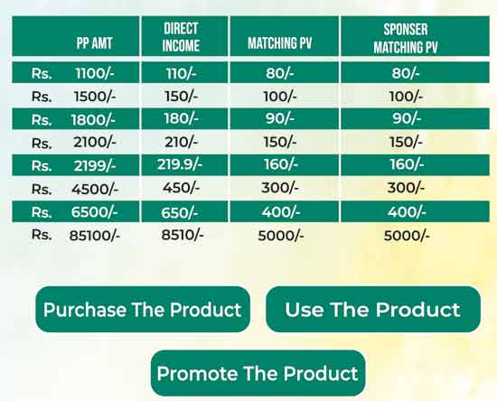 Teamway Unicorn Plan