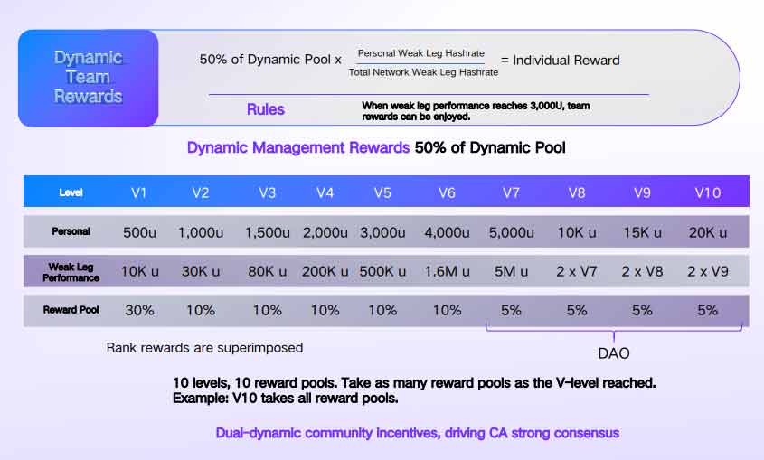 Dynamic Team Rewards