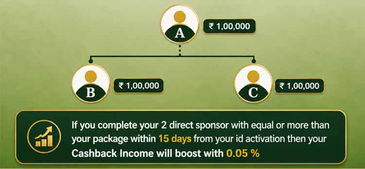 Booster Income
