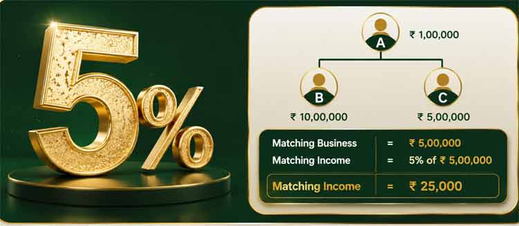 Matching Income