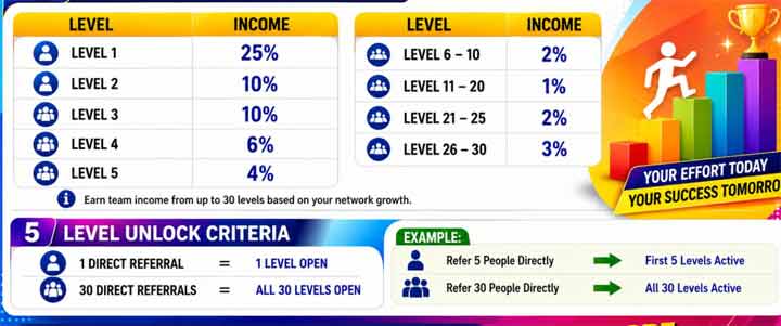 BachatPay Level Income