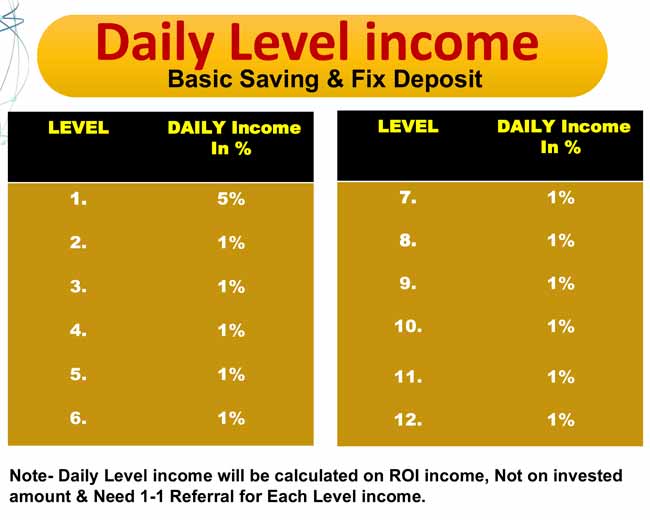 Daily Level Income