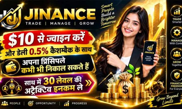 Jinance Plan Review | Jinance Full Business Plan